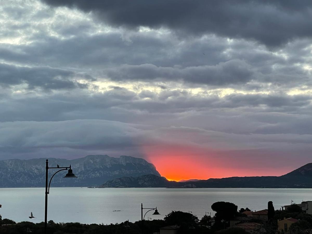 Domus De Diana Bed and Breakfast Olbia Exteriör bild